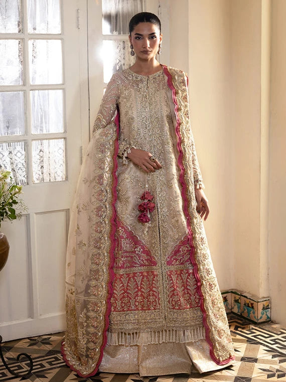 Multi Embroidered Fancy Chiffon Collection 2026 (Silkdawn)