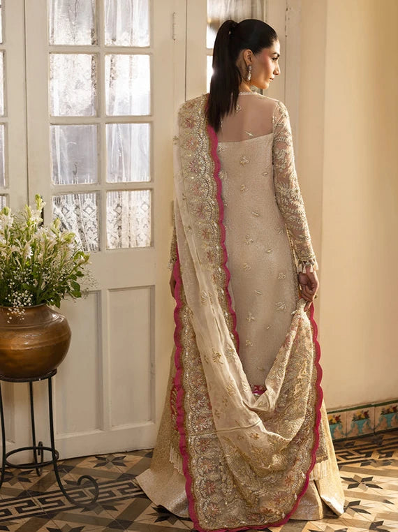 Multi Embroidered Fancy Chiffon Collection 2026 (Silkdawn)