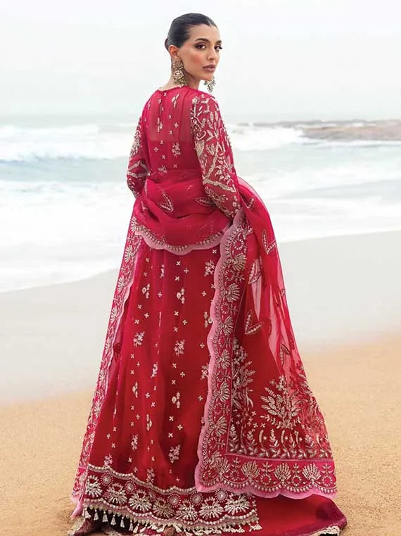 Multi Brand Embroidered Chiffon Collection 2025 (AFDG-04)