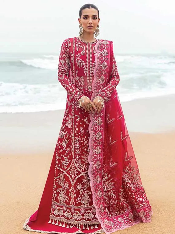 Multi Brand Embroidered Chiffon Collection 2025 (AFDG-04)