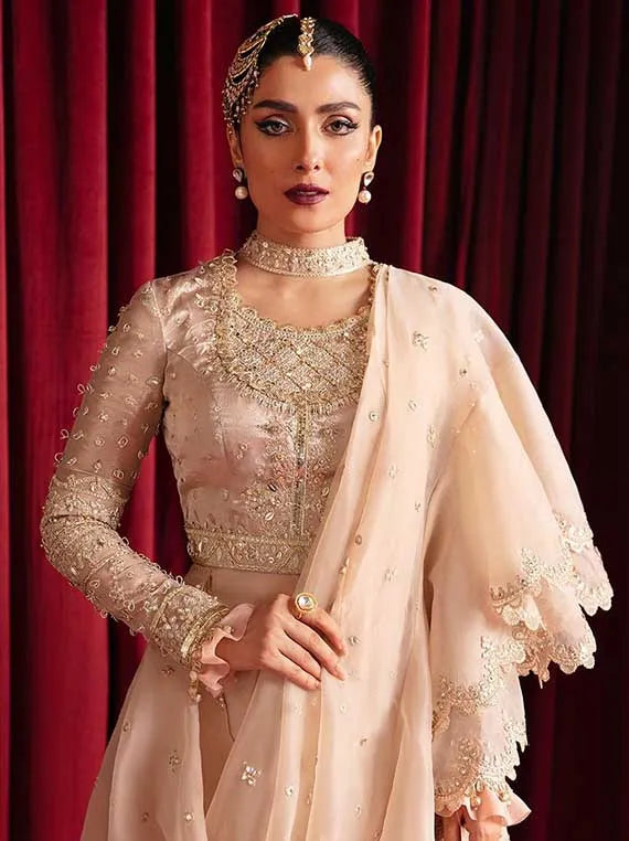 Multi Brand Embroidered Chiffon Collection 2025 (HR-08 Reena)