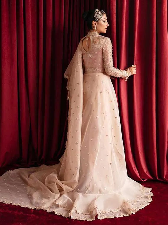 Multi Brand Embroidered Chiffon Collection 2025 (HR-08 Reena)