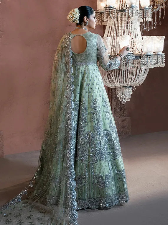 Noor-E-Naaz Embroidered Net Collection 2025 by Imrozia Serene (IB-51 Mehkaam)