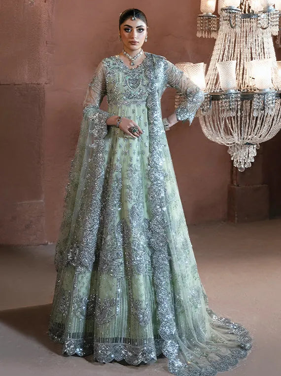 Noor-E-Naaz Embroidered Net Collection 2025 by Imrozia Serene (IB-51 Mehkaam)