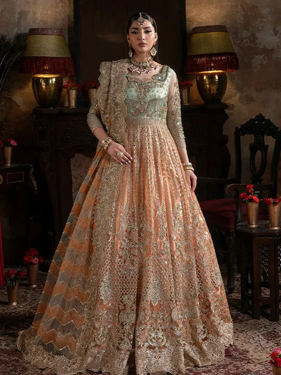 Noor-E-Naaz Embroidered Net Collection 2025 by Imrozia Serene (IB-56 Sitarah)