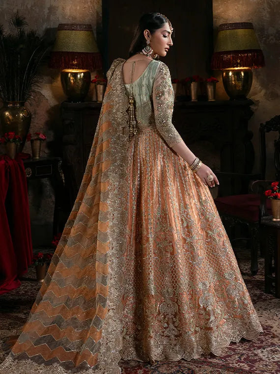 Noor-E-Naaz Embroidered Net Collection 2025 by Imrozia Serene (IB-56 Sitarah)