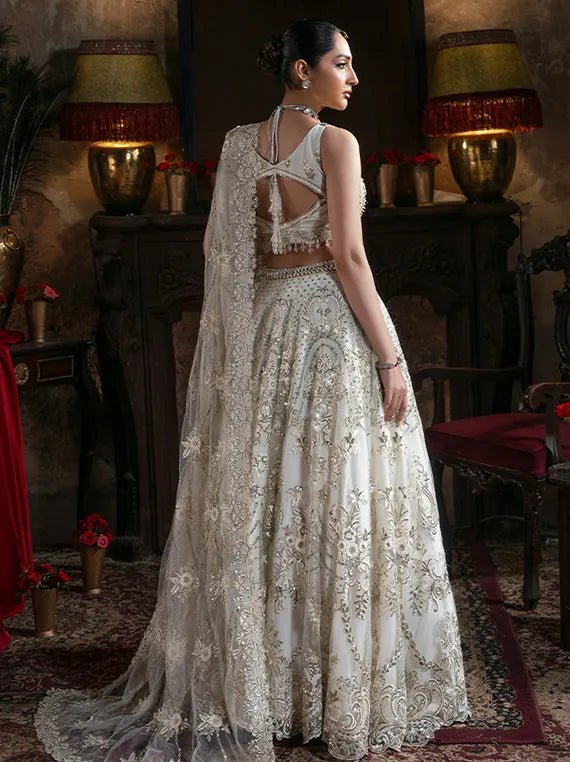 Noor-E-Naaz Embroidered Net Collection 2025 by Imrozia Serene (IB-57 Jahanara)