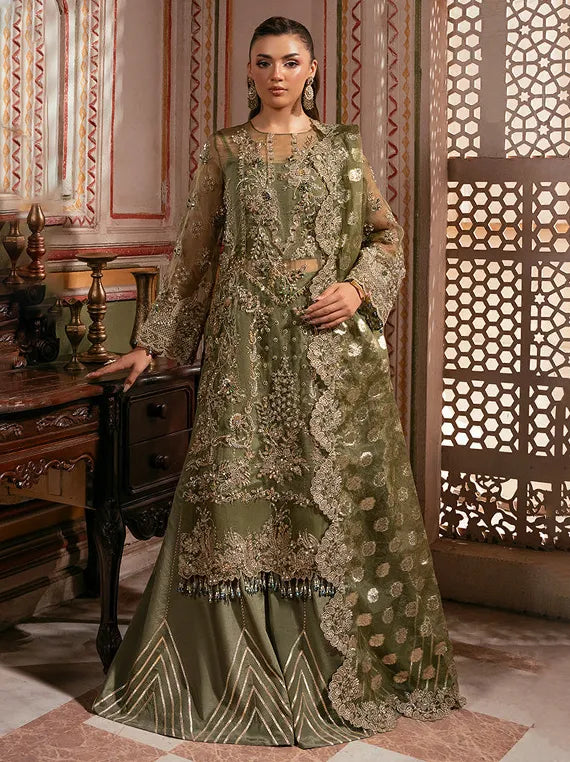 Noor-E-Naaz Embroidered Net Collection 2025 by Imrozia Serene (IB-58 Gulzaar)