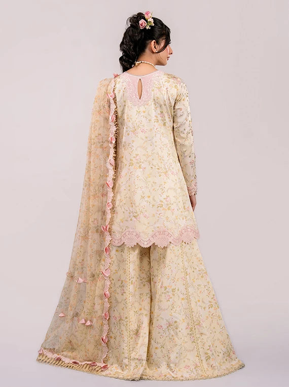 QALAMKAR Luxe Embroidered Silk Collection 2026 (QSL-03 SOLENE)