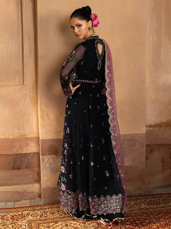 RANG RASIYA Embroidered Chiffon Collection 2025 (01-Sofia)