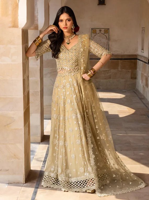 RANG RASIYA Embroidered Chiffon Collection 2025 (05-Zaiena)