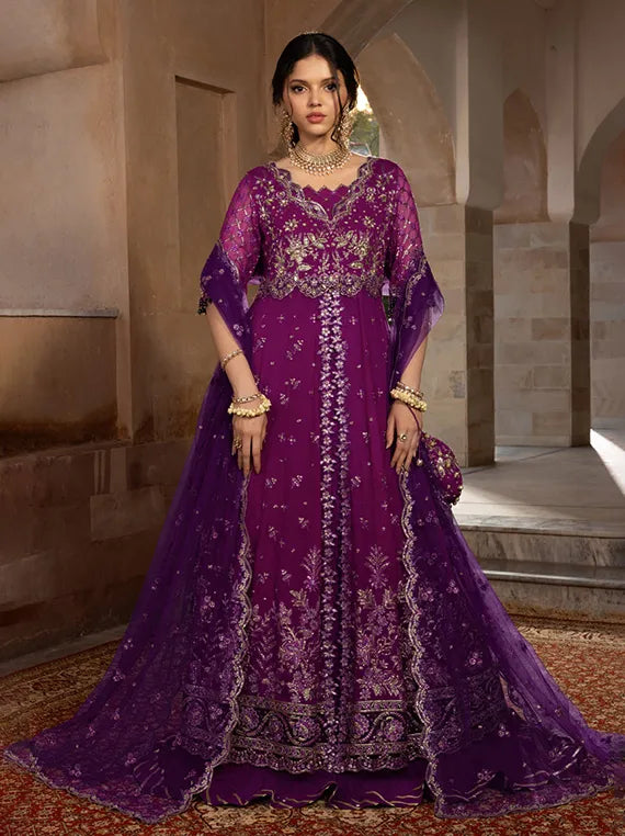 RANG RASIYA Embroidered Chiffon Collection 2025 (06-Aaliyah)