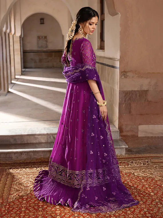 RANG RASIYA Embroidered Chiffon Collection 2025 (06-Aaliyah)