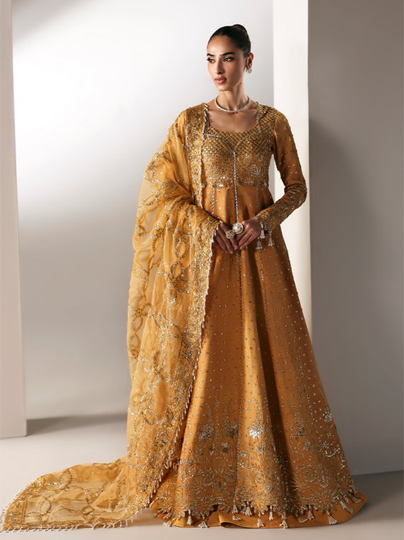 Serein By Emaan Adeel Premium Embroidered Raw Silk Collection 2025 (GOLDEN HOUR)
