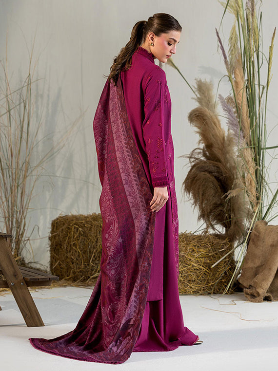 Premium Winter Wear Collection 2026 (Sobia-Nazir-WE25-V1-1A)