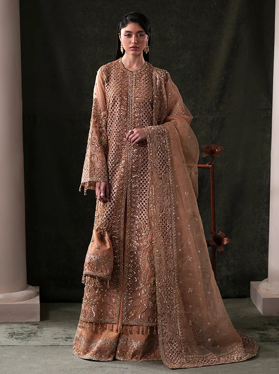Starlit Jewels Embroidered Organza Collection 2026 by Emaan Adeel (Hessonite)