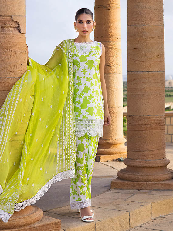 Stylish Summer Essentials Lawn Collection 2025 (Champa-8A)