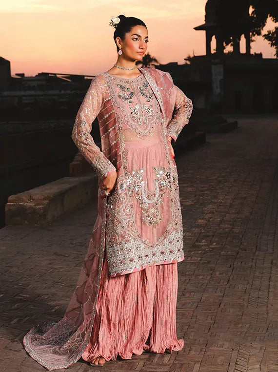 ZOUJ Luxury Festive Organza Collection 2025 by Raeesa (AAK-03)