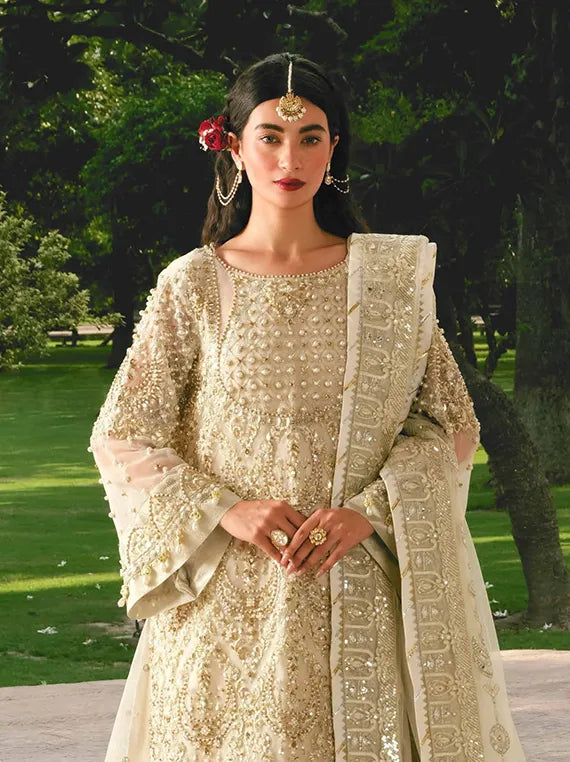 ZOUJ Luxury Festive Organza Collection 2025 by Raeesa (AAK-04)