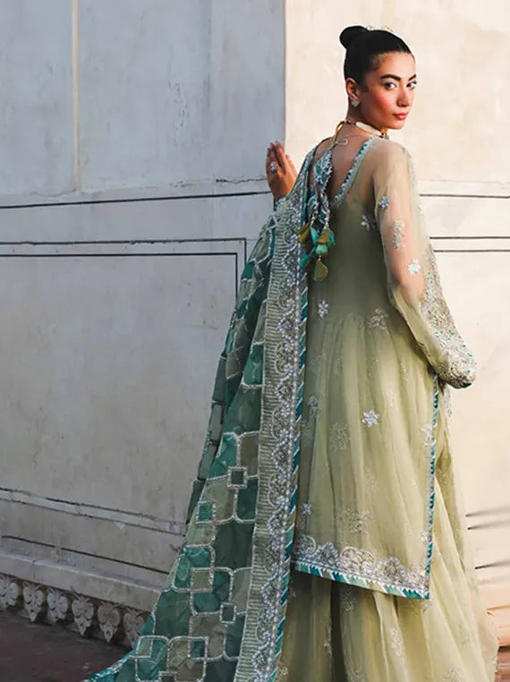 ZOUJ Luxury Festive Organza Collection 2025 by Raeesa (AAK-06)