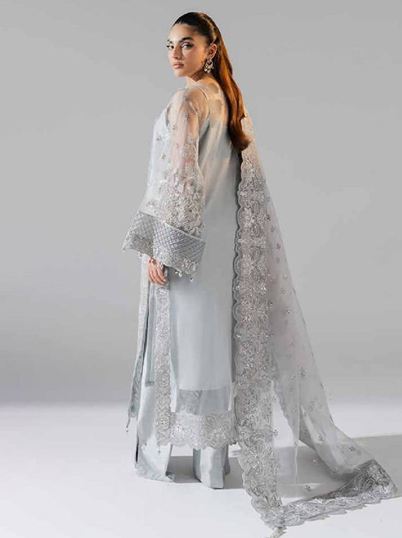 Zarez Luxury Formals Collection 2025 By Freesia (FS-40024 - Nubia)